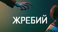 Жребий (2024)